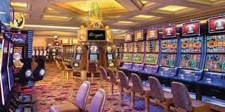 Meja live dealer asustoto